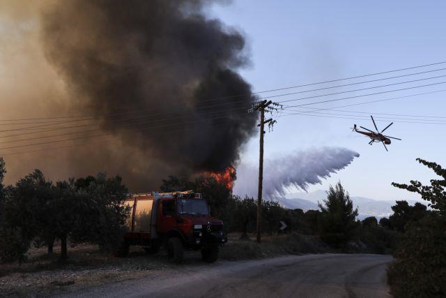 Πυροσβεστική: 37 δασικές πυρκαγιές εκδηλώθηκαν το τελευταίο 24ωρο