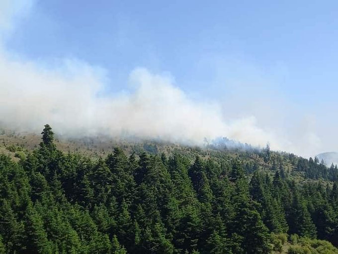 Να γίνει ιδιώνυμο αδίκημα η φωτιά σε αντιπυρική περίοδο – Αμοιβή για όσους καταγγέλλουν παραβάτες