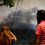 23 Δασικές πυρκαγιές το τελευταίο 24ωρο