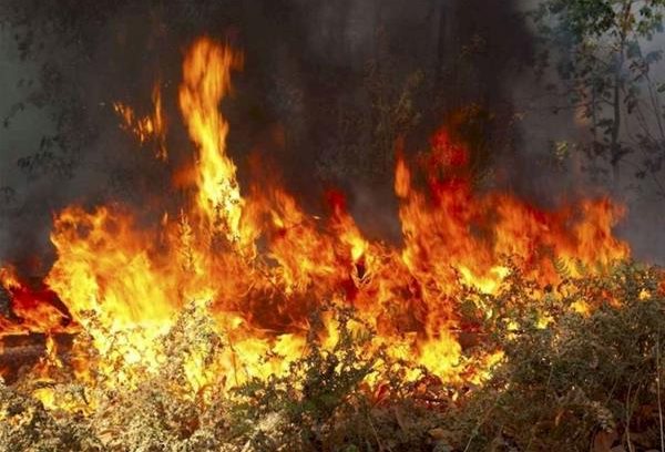 129 πυρκαγιές είχε το 2020 ο Δήμος Διδυμοτείχου!
