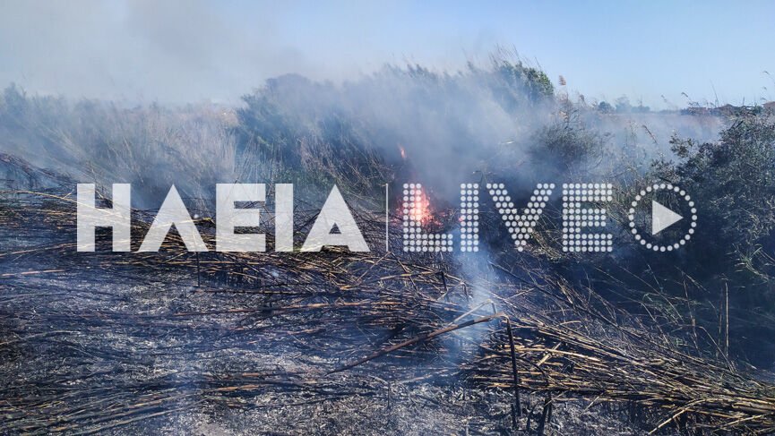 ΗΛΕΙΑ-Πυρκαγιά σε καλαμιές πίσω από το παλιό εργοστάσιο Ceramica