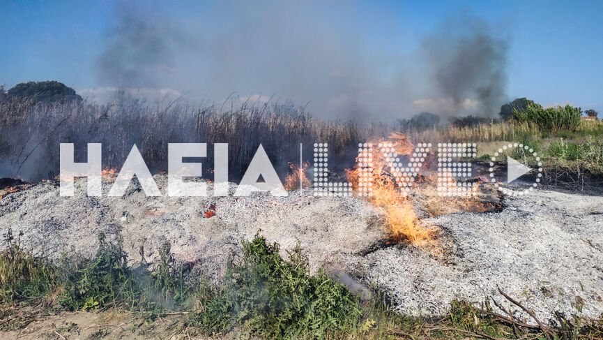 ΗΛΕΙΑ-Πυρκαγιά σε καλαμιές πίσω από το παλιό εργοστάσιο Ceramica