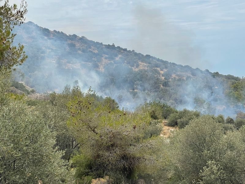 Πυρκαγιά σε χαμηλή βλάστηση στην Αργυρούπολη