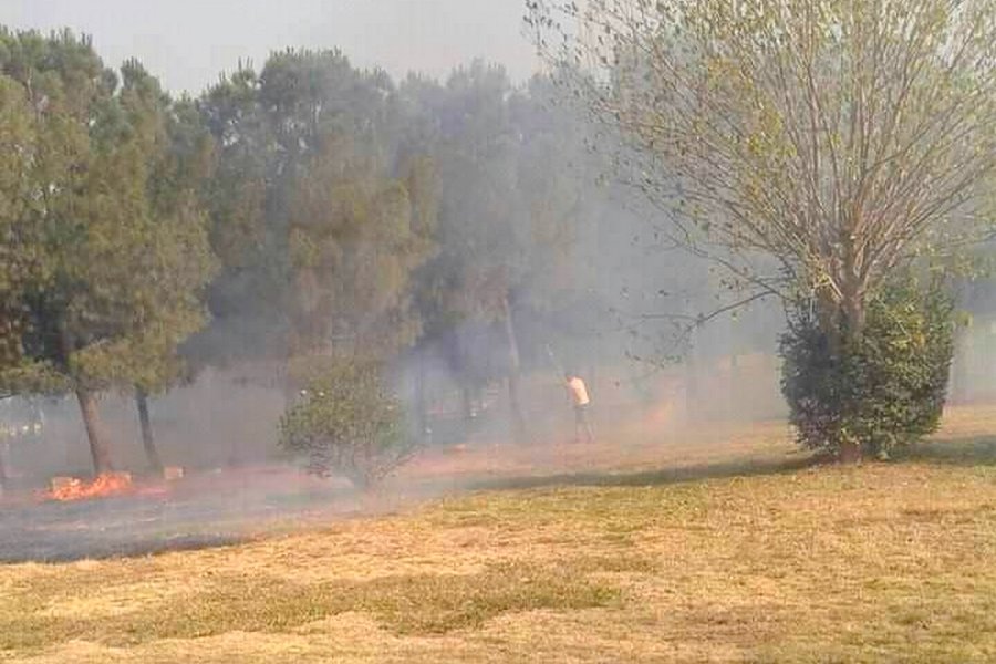Πυρκαγιά σε χαμηλή βλάστηση στον Κρουσώνα Ηρακλείου