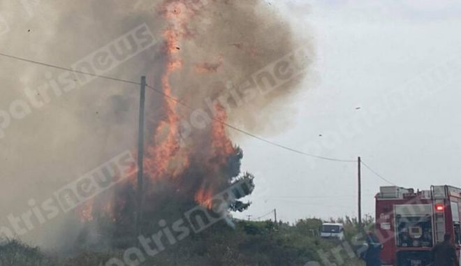 Μεγάλη πυρκαγιά ΤΩΡΑ στον Πύργο Ηλείας (Φώτο)