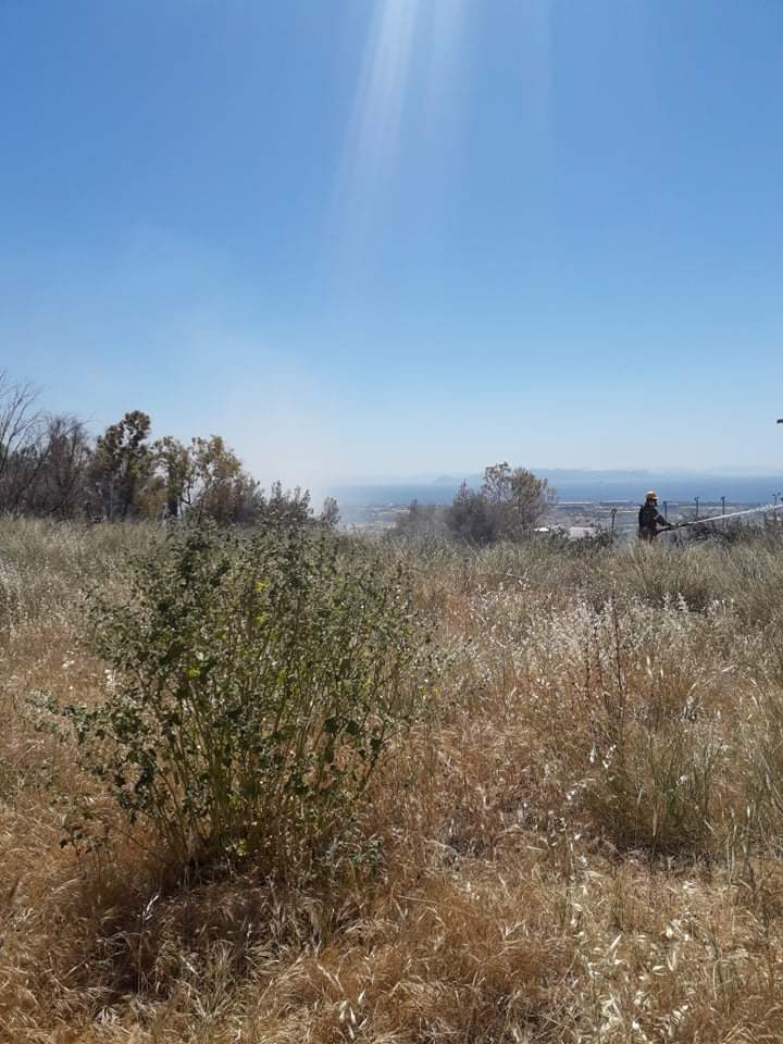 Φωτογραφικό υλικό από την πυρκαγιά στην Αργυρούπολη