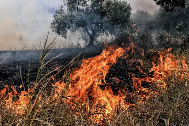 Πυρκαγιά σε ξηρά χόρτα στο δρόμο Λάρισας-Συκουρίου
