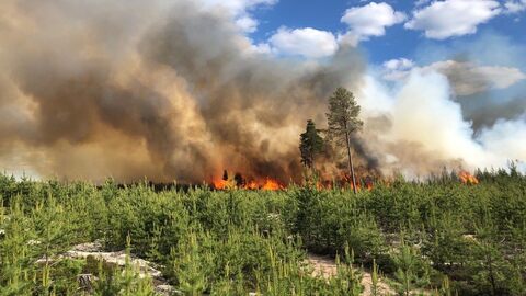 Μεγάλη δασική πυρκαγιά στην Σουηδία