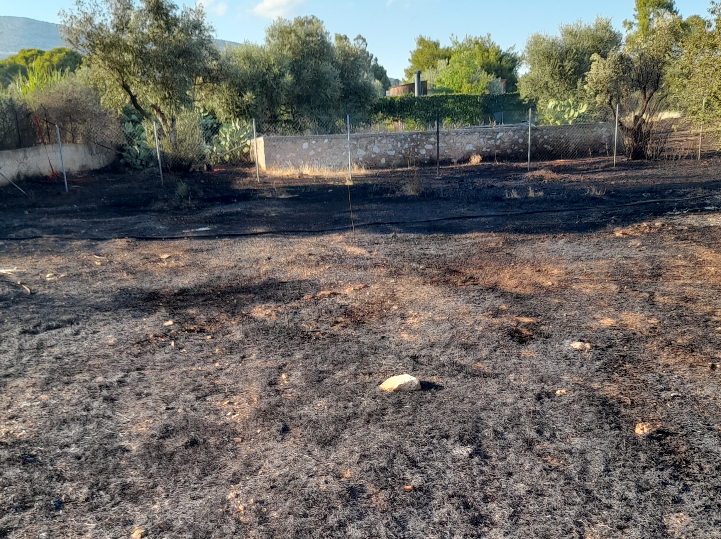 Φωτογραφικό υλικό από την πυρκαγιά στην βάρη Αττικής