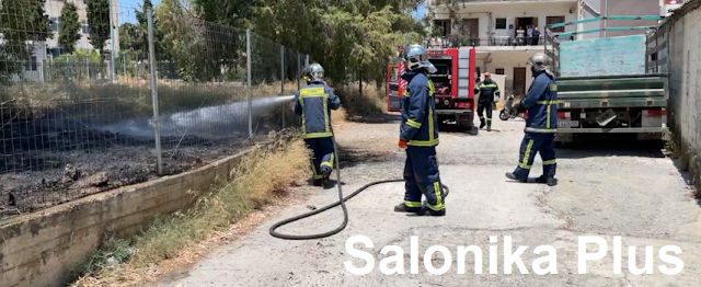 Πυρκαγιά εν υπαίθρω στα Κύμινα Θεσσαλονίκης (Φώτο)