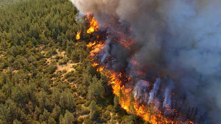 Πυρκαγιά ΤΩΡΑ σε Δασική έκταση στην περιοχή καρίτσα Θεσσαλίας