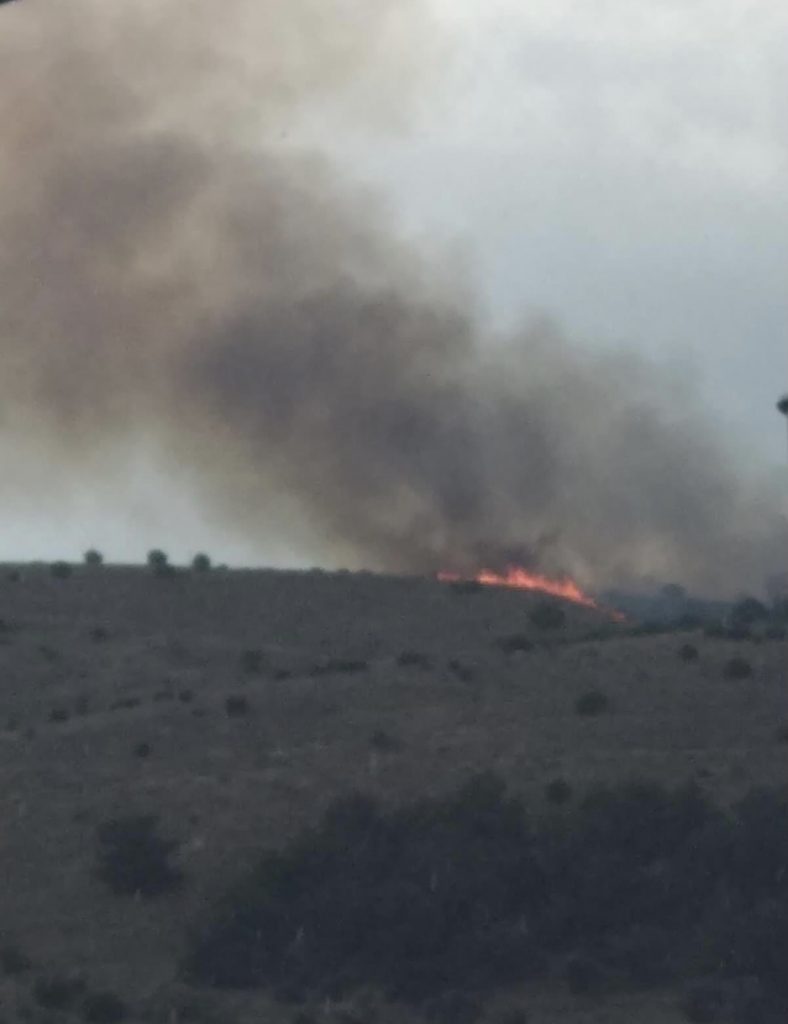 Πυρκαγιά ΤΩΡΑ στο Μονοδέντρι Χίου (Φώτο)