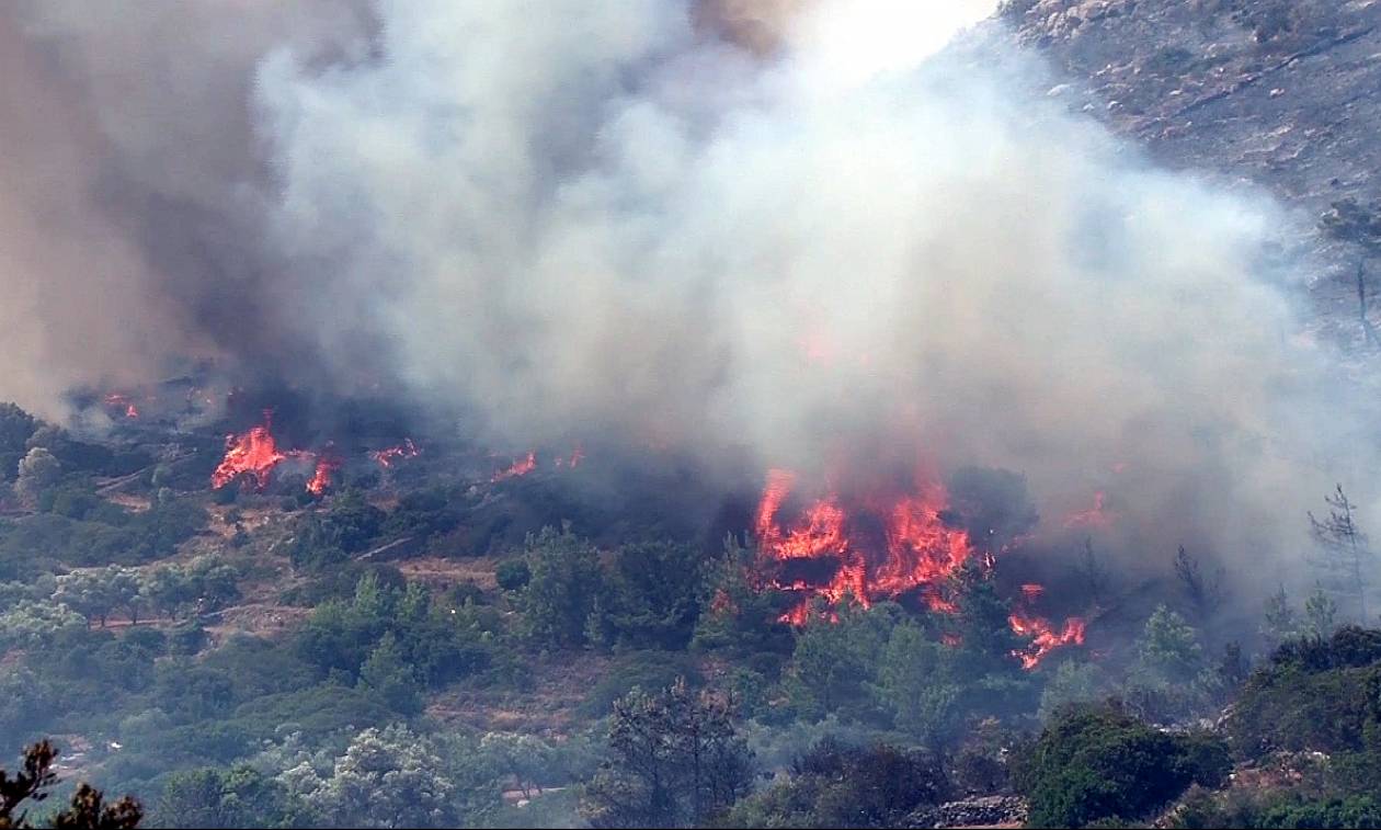 Διώξεις για τη φονική πυρκαγιά της Χίου - Πόρισμα - «φωτιά»