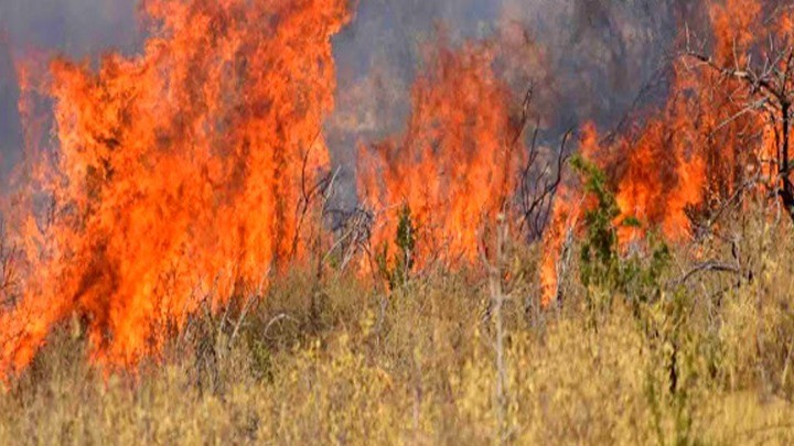 Πυρκαγιά σε οικοπεδικό χώρο στην Κόρινθο