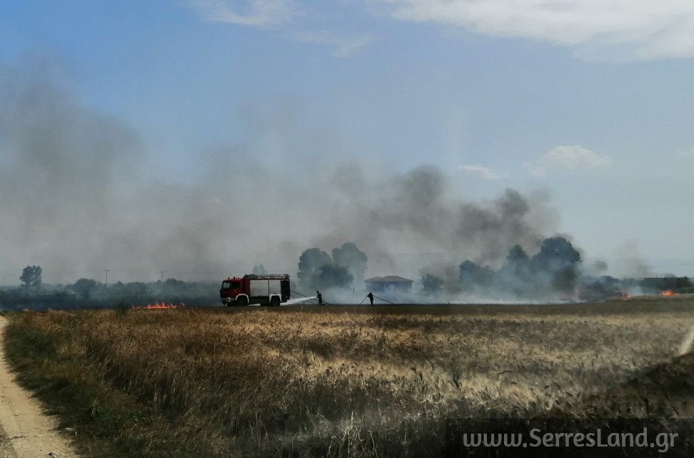 Πυρκαγιά εν υπαίθρω στις Σέρρες (Φώτο)