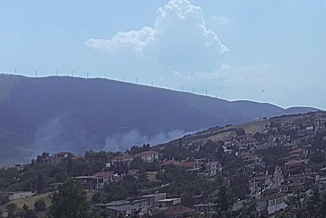 Πυρκαγιά ΤΩΡΑ στο Καπαρέλλι Βοιωτίας (Φώτο)