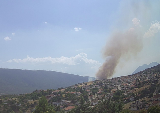 Πυρκαγιά ΤΩΡΑ στο Καπαρέλλι Βοιωτίας (Φώτο)