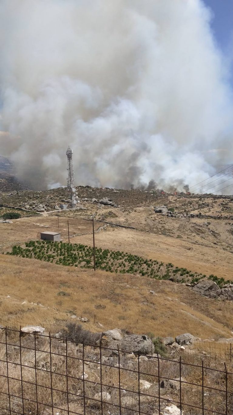 Πυρκαγιά ΤΩΡΑ σε χορτολιβαδική έκταση στην Νάξο.(φωτο από το συμβαν)