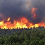 Πάνω από 32 δασικές πυρκαγιές στην Σιβηρία - Πρωτοφανής καύσωνας στους 48 βαθμούς η θερμοκρασία