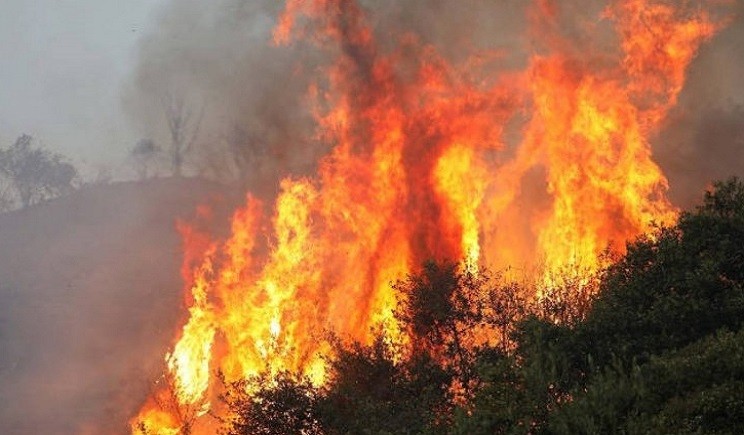 Πυρκαγιά εν υπαίθρω σε εξέλιξη στον Δήμο Ωρωπού-Αυλώνα