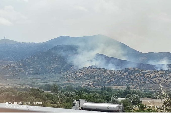 Πυρκαγιά σε χορτολιβαδική έκταση στην περιοχή Πουρνάρι Λάρισας