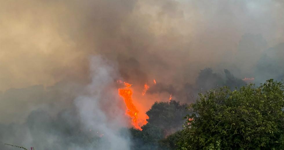 Πυρκαγιά σε εξέλιξη σε Δασική έκταση στην Καλαμπάκα