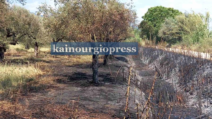 Αγρίνιο-Τρεις εστίες φωτιάς ταυτόχρονα.(φωτο)