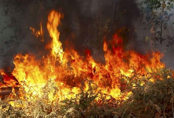 Πυρκαγιά ΤΩΡΑ εν υπαίθρω Δίπλα σε σπίτια στης Αχαρνές Αττικής