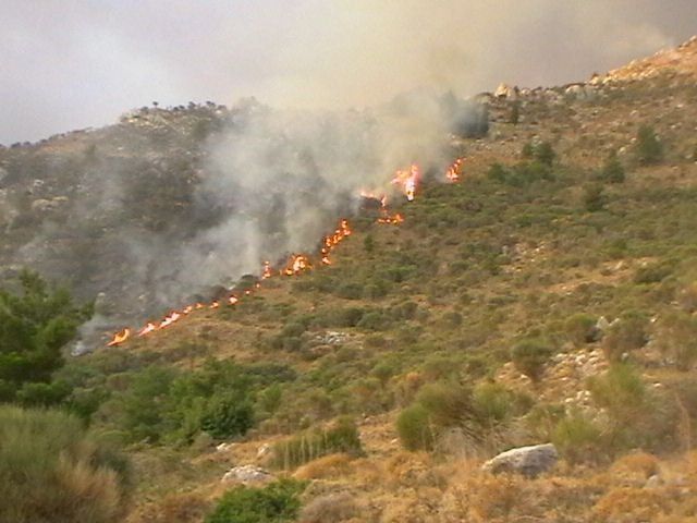Πυρκαγιά ΤΩΡΑ σε δασική έκταση στα Καρδάμυλα Χίου