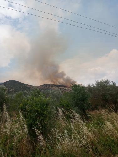 Πυρκαγιά σε χορτολιβαδική έκταση στην περιοχή Πουρνάρι Λάρισας