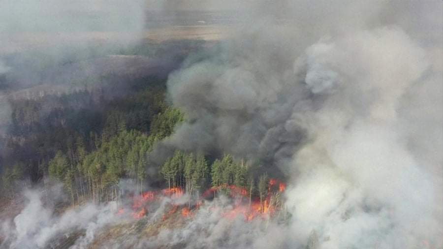 Πυρκαγιά σε Δασική έκταση σε εξέλιξη στην Λαμία