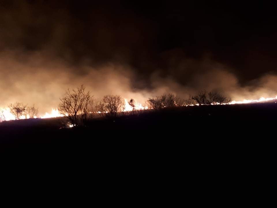 Πυρκαγιά ΤΩΡΑ σε χορτολιβαδική έκταση στην Δυτική Αχαΐα
