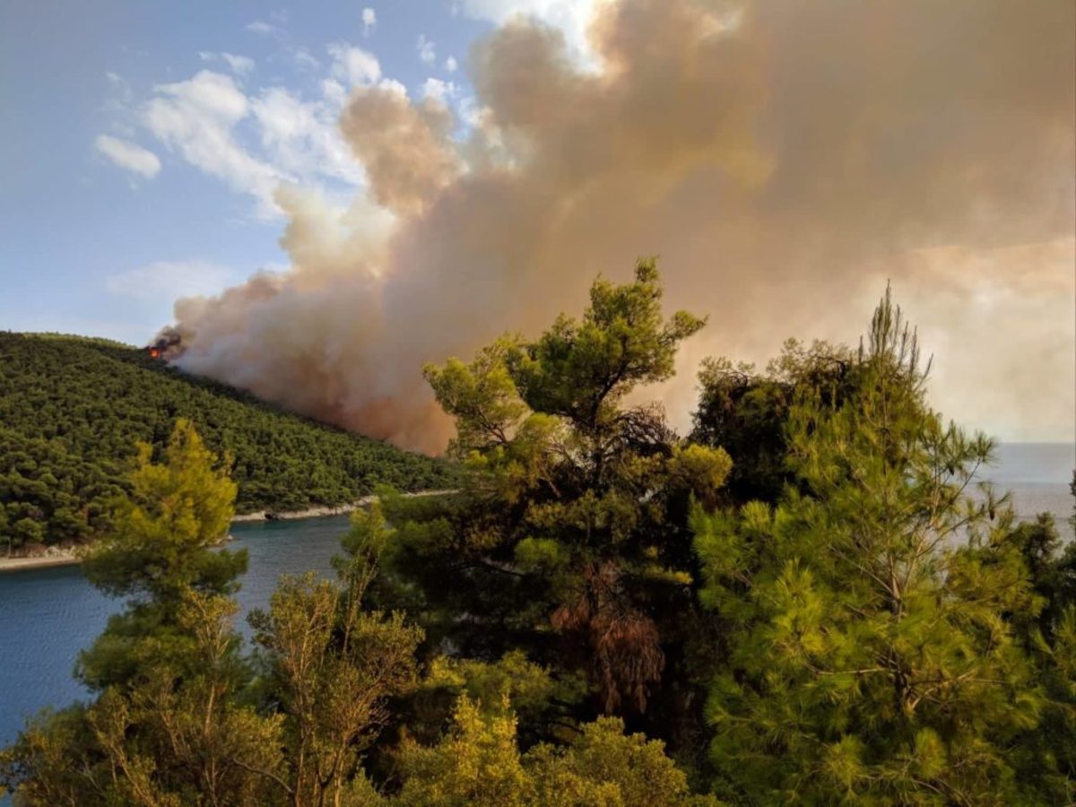 Δασική πυρκαγιά στην Σκόπελο