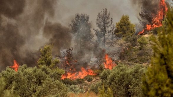 Πυρκαγιά ξέσπασε σε δασική έκταση στην περιοχή πάτημα στα Εξαμίλια Κορινθίας.