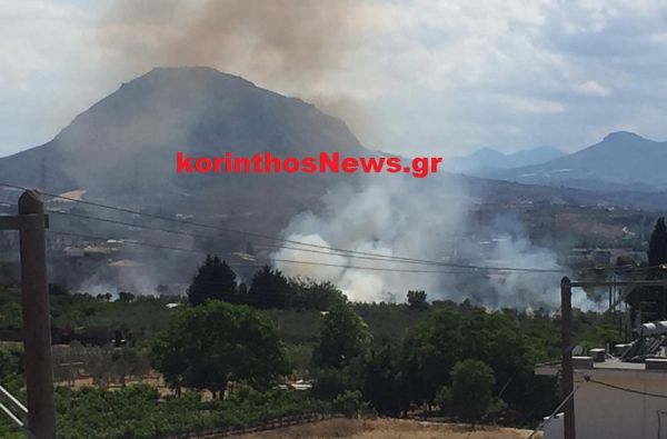 Πυρκαγιά σε ξερά χόρτα δίπλα σε σπίτια στην Καλλιθέα Κορίνθου (Φώτο)