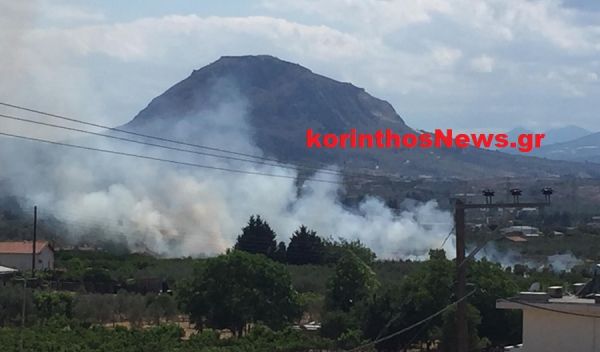 Πυρκαγιά σε ξερά χόρτα δίπλα σε σπίτια στην Καλλιθέα Κορίνθου (Φώτο)