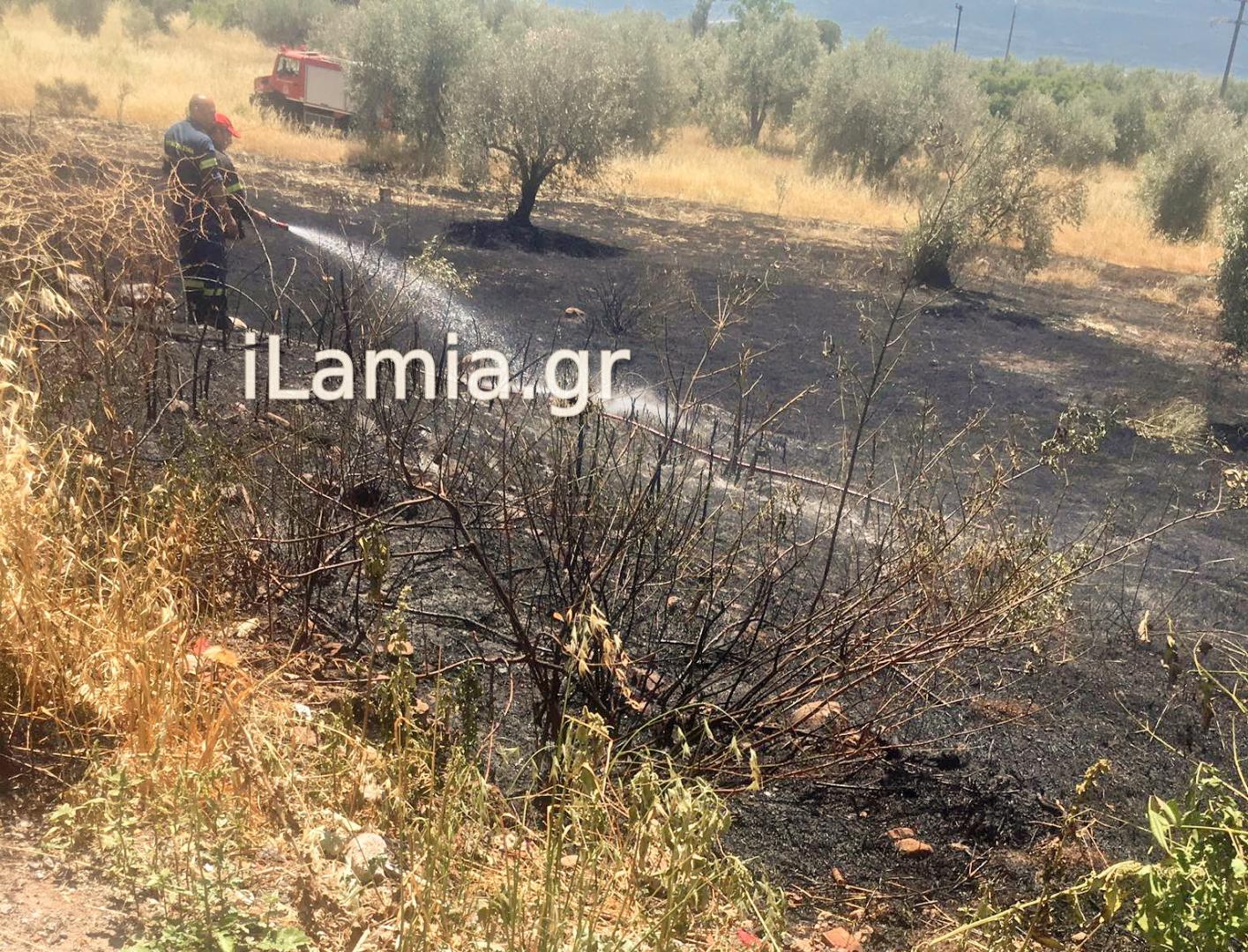 Πυρκαγιά εν υπαίθρω στο Αυλάκι Στυλίδας