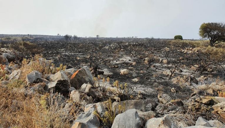 Ηράκλειο: Στάχτη από την χθεσινή πυρκαγιά 280 στρέμματα