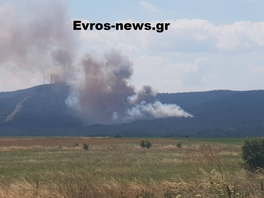 Μεγάλη πυρκαγιά ΤΩΡΑ σε δασική έκταση στην Λευκίμη Έβρου (Φώτο)