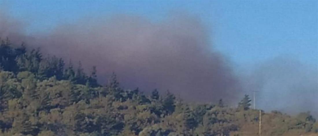 Πυρκαγιά σε δασική έκταση στην περιοχή Κατάβαση Χίου - Εκκενώθηκε το χωριό