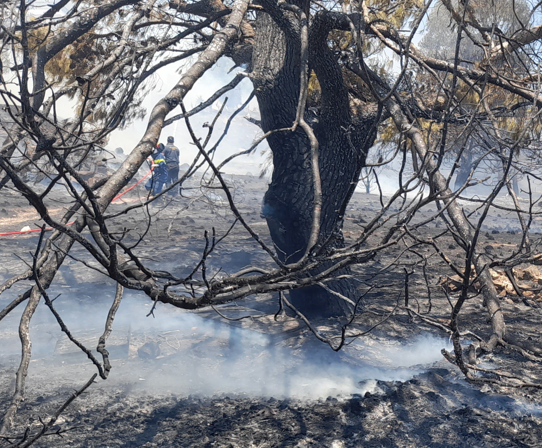 Φωτογραφικό υλικο απο την πυρκαγιά στην βούλα Αττικής