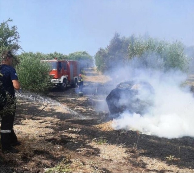 Πυρκαγιά σε Γεωργική έκταση στην Πρέβεζα