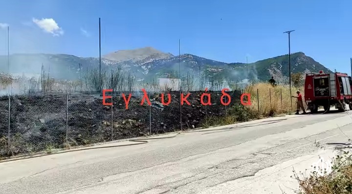 Πυρκαγιά στην περιοχή της Εγλυκάδας στην Αχαΐα.(φωτο+βίντεο)