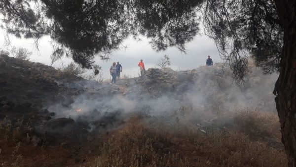 Πυρκαγιά στο άλσος των Φαρσάλων από κεραυνό – Επιχειρεί η πυροσβεστική