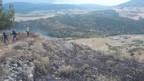 Πυρκαγιά στο άλσος των Φαρσάλων από κεραυνό – Επιχειρεί η πυροσβεστική