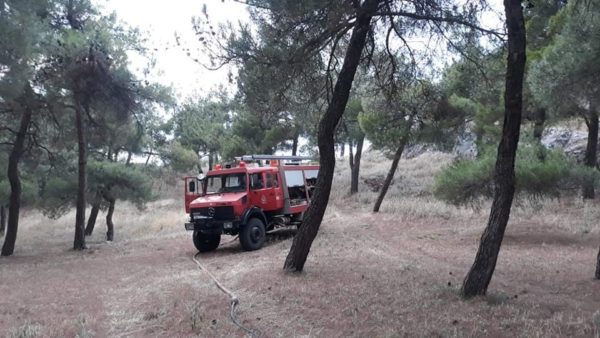 Πυρκαγιά στο άλσος των Φαρσάλων από κεραυνό – Επιχειρεί η πυροσβεστική