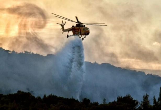 3.300 στρέμματα δάσους και ελαιώνων κάηκαν από τις δύο τελευταίες πυρκαγιές σε Καλέτζι και Άνω Αλμυρή