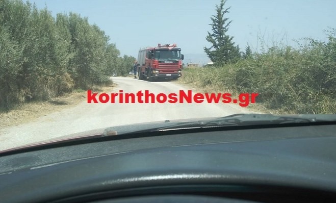 Πυρκαγιά εν υπαίθρω στον Σολομό Κορινθίας