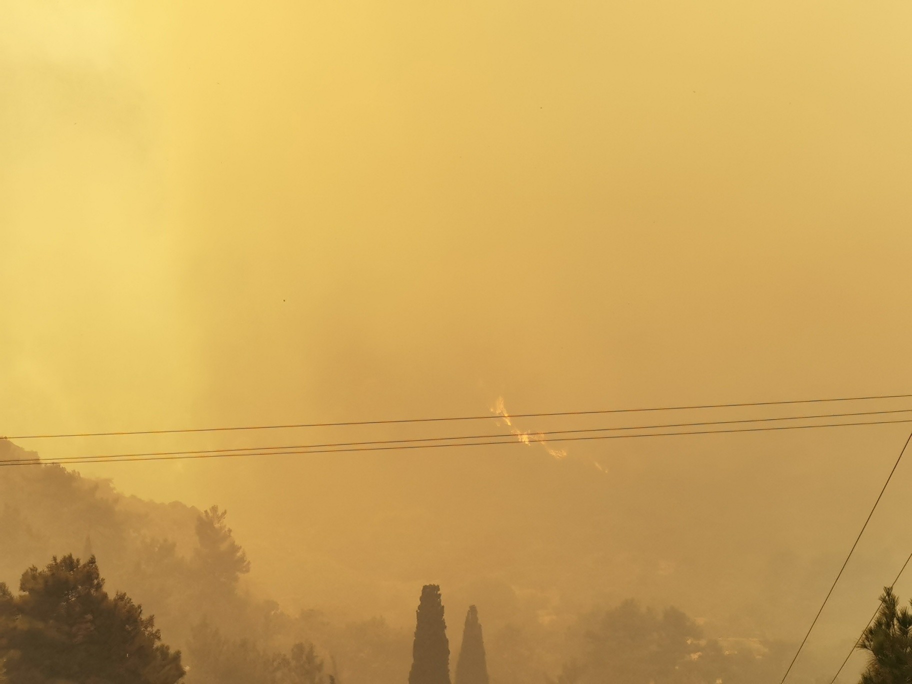 Σάμος: Μαίνεται η πυρκαγιά στους Βουρλιώτες - Προληπτική εκκένωση δύο ξενοδοχείων (Φώτο)