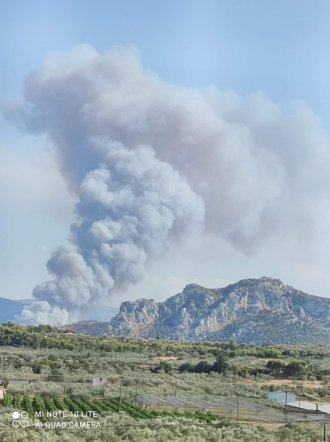 Πυρκαγια ΤΩΡΑ σε δασική έκταση στην Νέα Αλμυρή Κορινθίας (Φωτο)